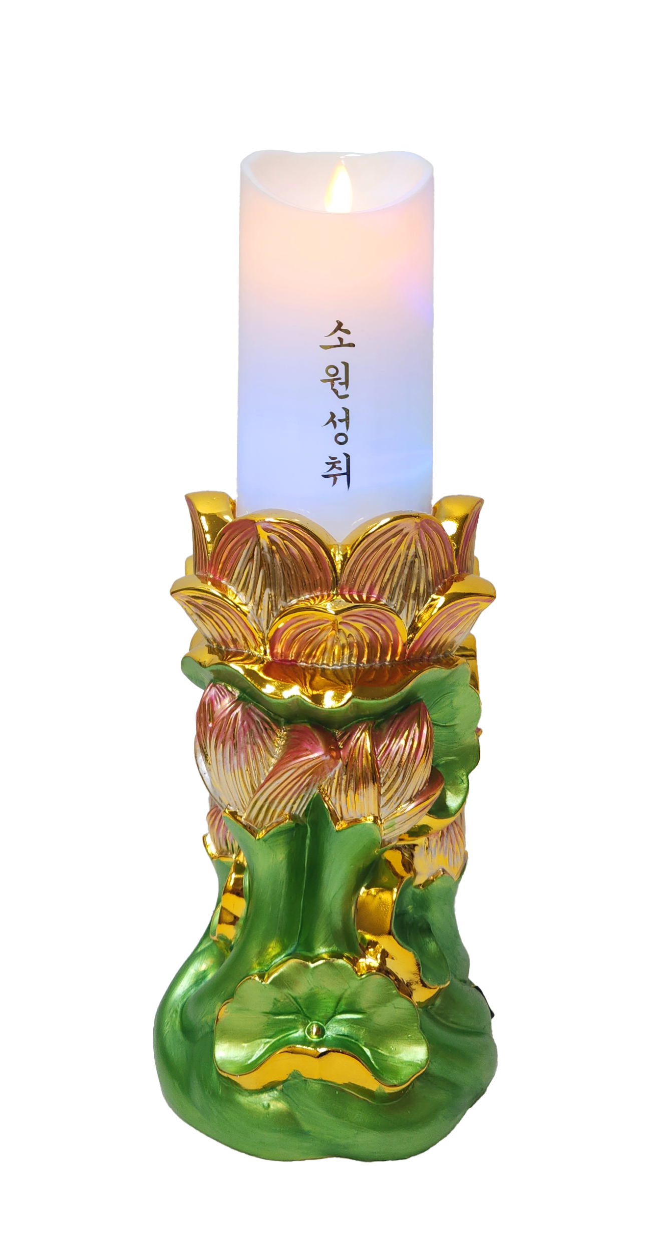 연꽃 전기초